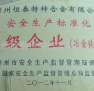 安全生產(chǎn)標準化AAA級企業(yè)